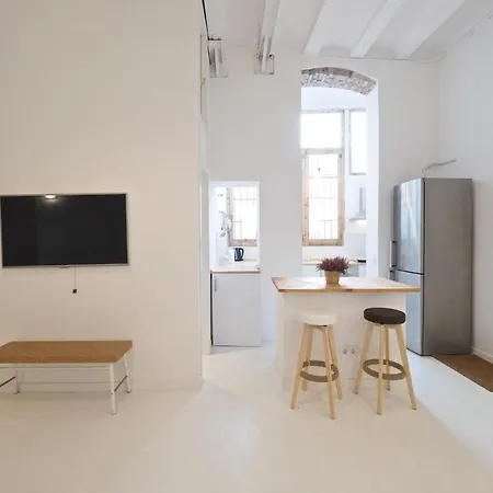 Daire Loft Picasso