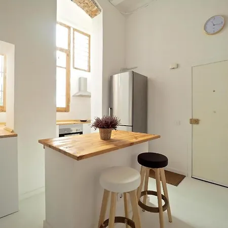 Loft Picasso Daire Barselona