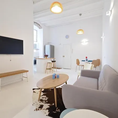Daire Loft Picasso